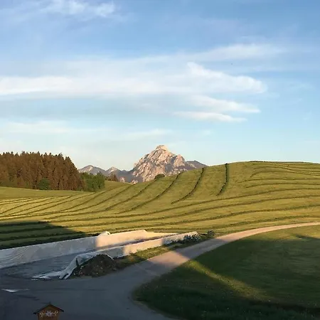 Haus Steinacher 公寓 霍普福劳