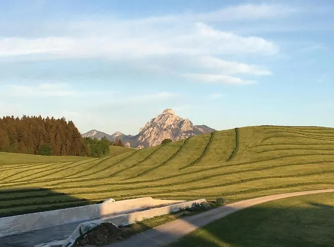 Haus Steinacher Appartamento Hopferau